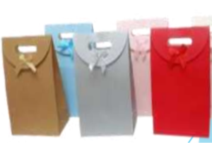 SACOLA P/PRESENTE PAPEL 24X32CM